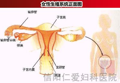 经常腹痛需要小心附件炎侵袭