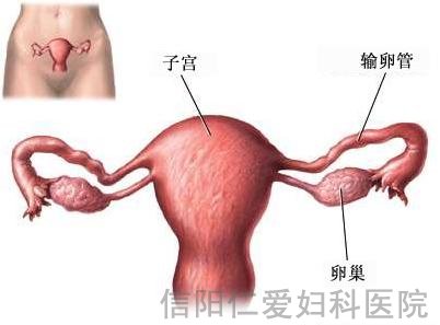 哪些疾病会诱发输卵管堵塞